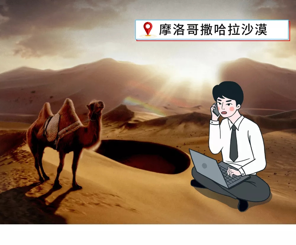 【多图】“想当年，我在沙漠加班，和骆驼肩并肩”